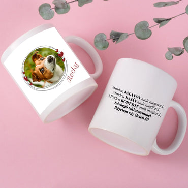 2-feher-bogre-feherpalast-pink-hatter-mockup