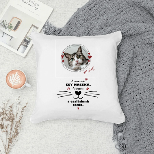 Pillow - Square - all color 3