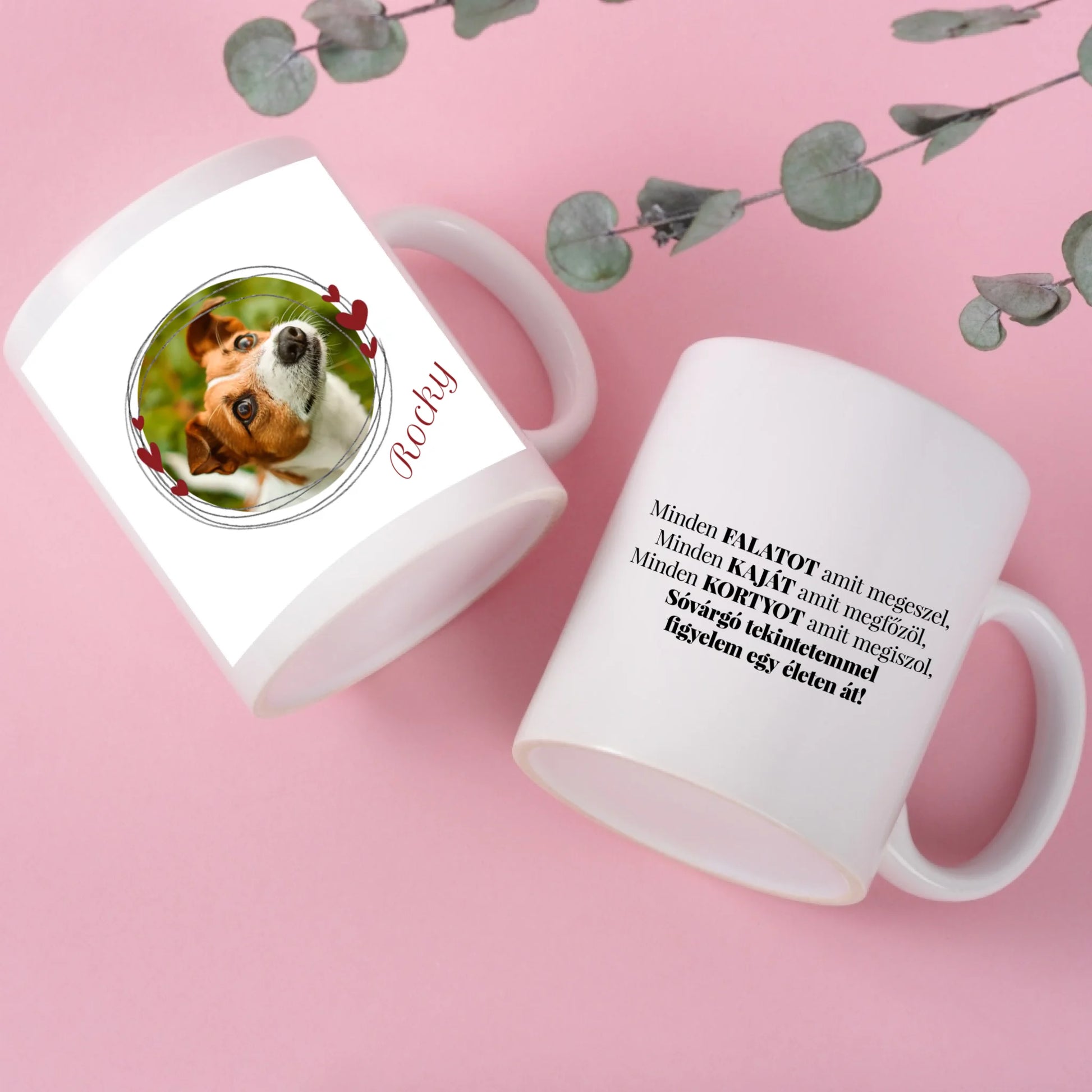 2-feher-bogre-feherpalast-pink-hatter-mockup