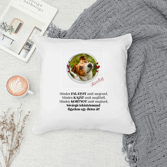 Pillow - Square - all color 3