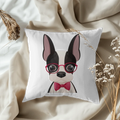 Pillow - Square - all color 2