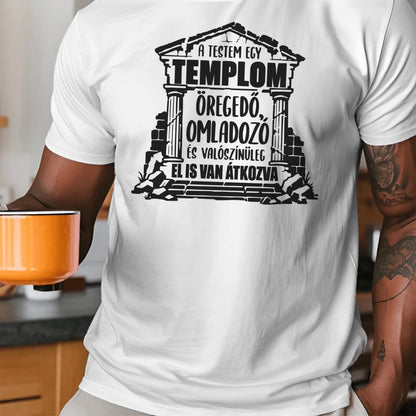 T-shirt-all color 6